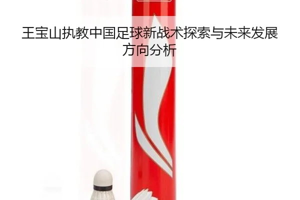王宝山执教中国足球新战术探索与未来发展方向分析